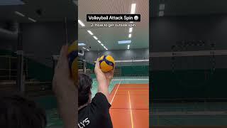 Volleyball Attack Spin 