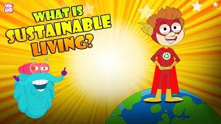 Eco-Friendly Habits  What Is Sustainable Living?  The Dr Binocs Show  Peekaboo Kidz