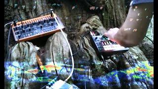 By The Lake Huge Chestnut mix - ambient synth jam on a tree with Roland MC101 and Behringer Crave