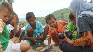 kampung komodo Flores  cinematic video