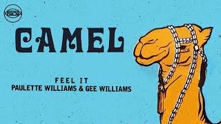 Paulette Williams and Gee Williams - Feel It Official Audio  Pama Records