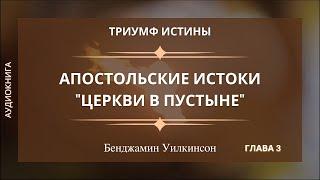 АПОСТОЛЬСКИЕ ИСТОКИ ЦЕРКВИ В ПУСТЫНЕ  Гл. 3 Триумф истины - Бенджамин Уилкинсон  Аудиокнига