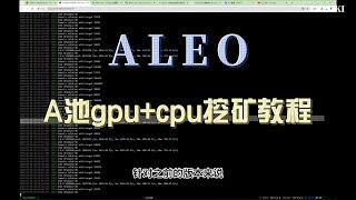 Aleo最新Apool矿池cpu+gpu挖矿教程！全网首发hiveos下如何配置a池飞行表