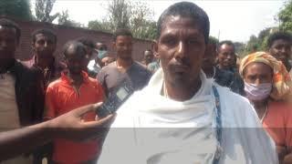 Displaced people from Benshangul Gumuz - ከሴዳል ወረዳ የተፈናቀሉ ዜጎች ምን ይላሉ?