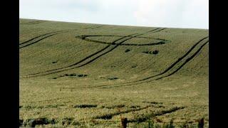 Mathew Williams Crop Circles Interview.