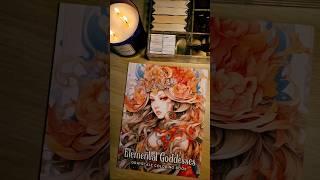 Elemental Goddesses Grayscale Coloring Book by Max Brenner