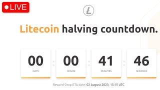 Live Litecoin Halving Countdown #LTC #Crypto