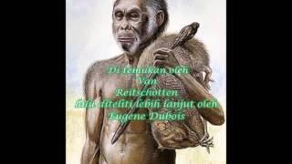 HOMO INDONESIA