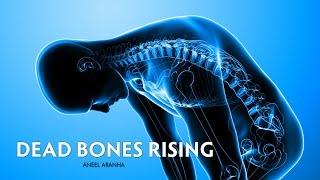 DEAD BONES RISING  ANEEL ARANHA  HOLY SPIRIT INTERACTIVE