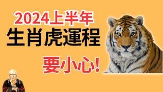 屬虎人2024年上半年運勢，属虎人2024年上半年運程！属虎2024年运势，2024属虎运势，2024属虎运程，屬虎2024年運程，生肖虎2024，2024生肖虎運勢，2024生肖虎运势，生肖虎，属虎