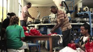 Upgrading Ethiopian leather and leather products industry