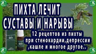 ПИХТА ЛЕЧИТ СУСТАВЫ И НАРЫВЫ. 12 рецептов из пихты при стенокардиидепрессиикашле и многое другое.