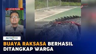 Konflik Buaya dan Manusia Terus Terjadi