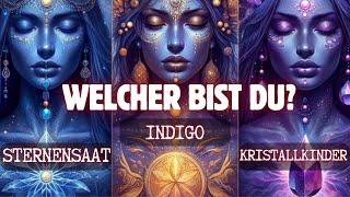 Welcher bist Du? Sternensaat Indigo Kristallkind Die kosmische Seele erwecken