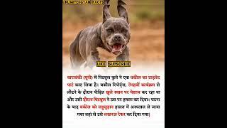 Pitbull dogपिटबुल कुत्ता#doglover#generalknowledge#unlimitedgyan