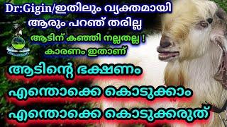 ആടിന് കൊടുക്കേണ്ടതും ഒഴിവാക്കേണ്ടതുംgoat farmingaadu valarthalgoat feedgoat farmgoatfarming