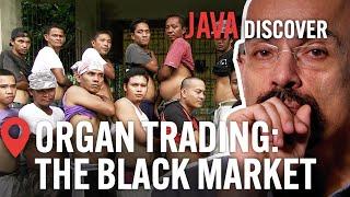 Black Market The Cost of Organ Trafficking  Full Documentary