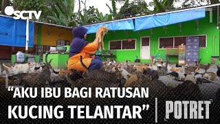 Viral Dita Rela Merawat Ratusan Kucing Telantar Bahkan Dibangun Juga Rumah Khusus Kucing  Potret