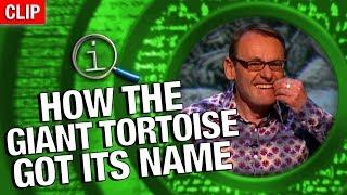 QI  How The Giant Tortoise Got Its Name