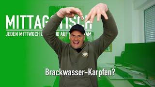  Brackwasser-Karpfen? Brutale Szene Gang  Phosphatgehalt in Boilies #Mittagtisch 131