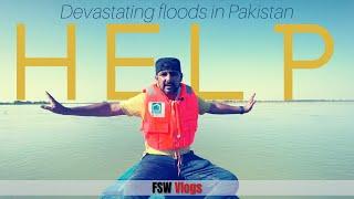 Devastating floods in Pakistan  Faisal Warraich