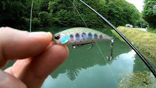 Trout fishing on Duo Spearhead ryuki 45S in Summer