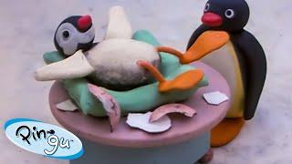 Pinga Is Born   Pingu - Official Channel  Cartoons For Kids