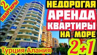 АРЕНДА квартиры в Турции на долгосрок в АРЕНДУ квартира в Алании на ЗИМУ и на ЛЕТО