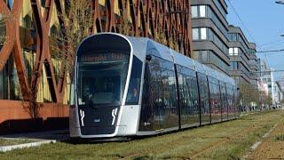 Darum sind Bus und Bahn in Luxemburg kostenlos