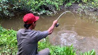 Rekor ikan terbesar mancing umpan cacing tanah dapat cana monster