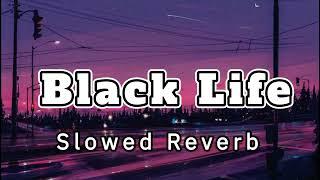 Black Life Navaan Sandhu_   slowed+Reverb Punjab song 2023  lofi song