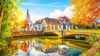 Golden Autumn Days  Relaxing Music for a Tranquil Fall  Anxiety Relief  Inner Peace