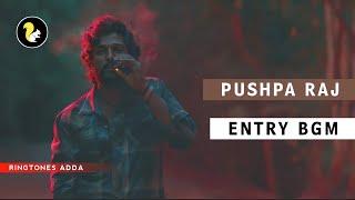 Pushpa Entry BGM - Pushpa BGMs HD  Pushpa Introduction BGM  Pushpa Mass BGM