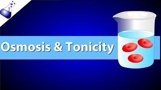 Osmosis and Tonicity