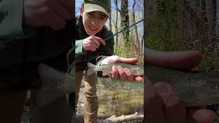 EPIC SMALLEST TROUT IVE EVER CAUGHT  #fishing #shorts