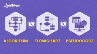 Algorithm Vs Flowchart Vs Pseudocode  Difference Between Algorithm And Flowchart  Intellipaat