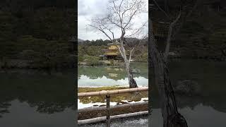 Kinkaku-ji Golden Pavilion Zen Buddhist Temple Kyoto Japan