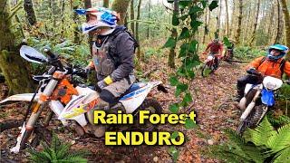 Rain Forest Enduro 2021 TX300i TBI