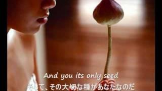 The Rose - Bette Midler 歌詞字幕）English & Japanese Lyrics