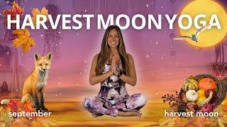 HARVEST MOON YOGA  full moon slow flow for the harvest season 35 mins 