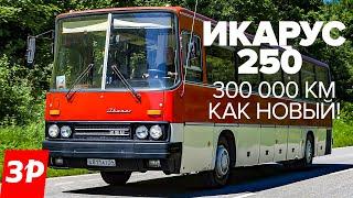 Икарус 250 - за что любили туриста из Венгрии  Автобус Ikarus 250 в СССР тест и обзор