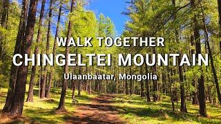 HIKING THROUGH THE FOREST IN MONGOLIA  WALK TOGETHER  CHINGELTEI MOUNTAIN