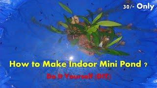 DO IT YOURSELF DIY - Cheap Indoor Mini Pond