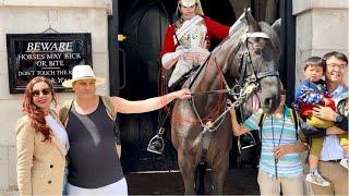 Disrespectful Tourists vs. Hilarious Horse Guard You Wont Believe What Happens