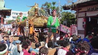 羽田神社夏季例大祭_7の5・本社大神輿渡御 20230730 羽田まつり