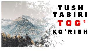 Tushda Tog Korish Tabiri