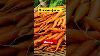 Правда или ложь?О Еде # факты # топ-10 #курьезы #документальные фильмы #списки #знания