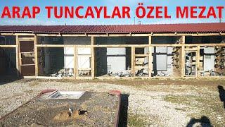 Arap Tuncaylar Oyun Kuşu Kupon Mezat