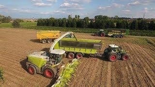 *NEW* Claas jaguar 990 XXL  Jumpers  12 Row  Fendt  *sound *