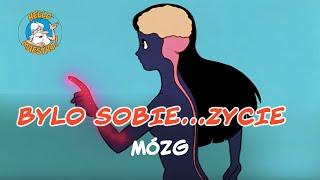 Bylo Sobie... Zycie - Mózg 